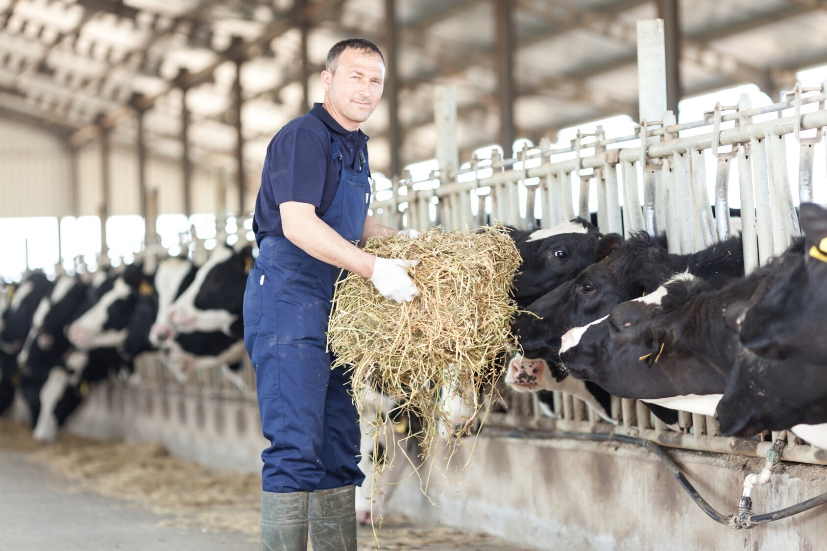 The farmer will give each of his animals a unique code